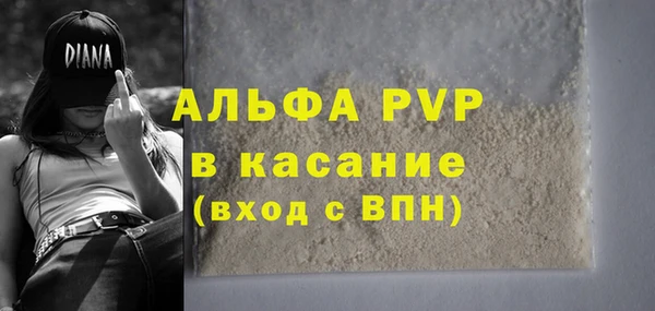 эйфоретик Арсеньев