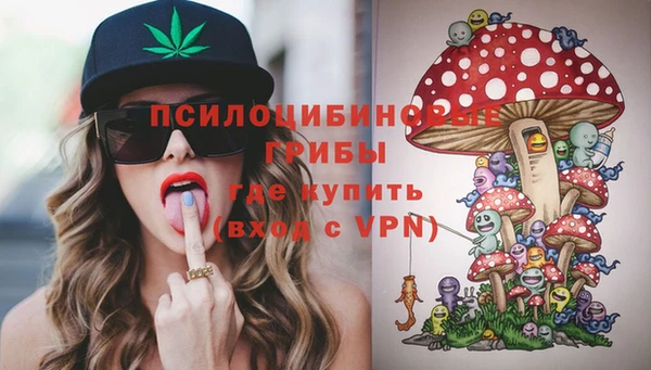 СК Аркадак