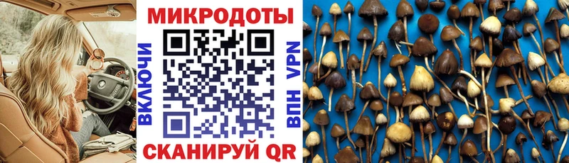 гидра   Снежинск  Галлюциногенные грибы MAGIC MUSHROOMS 