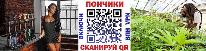 дарнет шоп  Снежинск  hydra сайт  Конопля план 